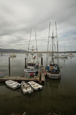 Fishing Boats - Morro Bay - California