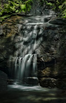 Small Creek Falls - Oregon Coastal Forest