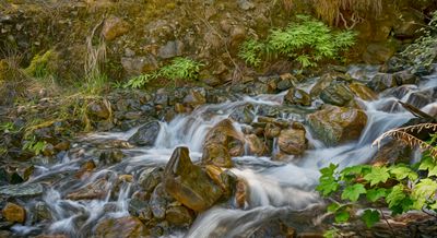 Creek - Smith River - California