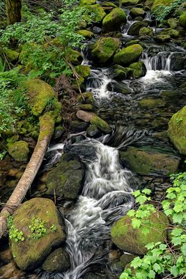 Stream