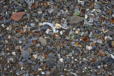 Glass Beach - Fort Bragg, California