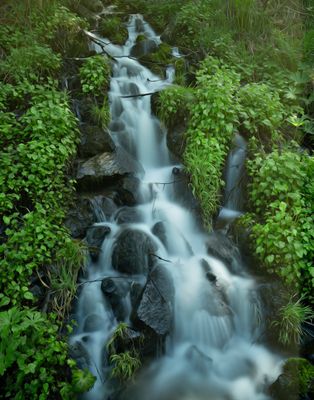 Waterfall - Oregon