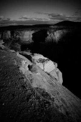 Lone Pine - Colorado National Monument