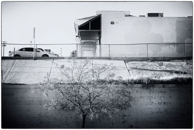 Tree and Cement - Barstow  - California