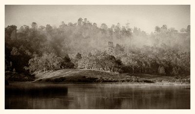 Fog Rising - Santa Margarita - California 