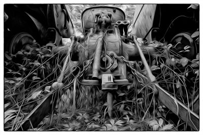 Tractor and Weeds