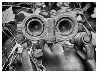 Metal Eyes