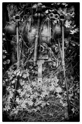Tractor and Weeds