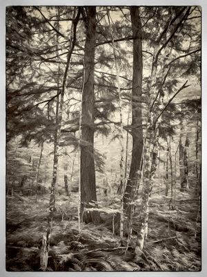 North Woodland