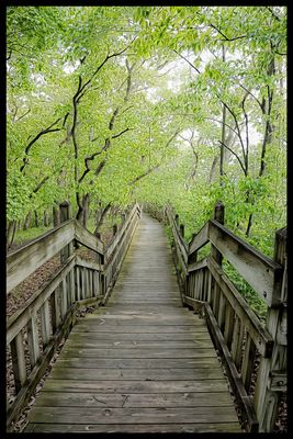 Boardwalk - Pikes Peak State Park - Iowa