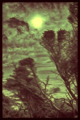Mindscapes
