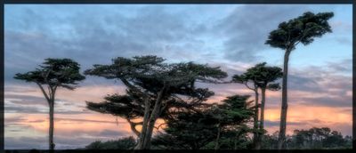 Crescent City Sunset - California 