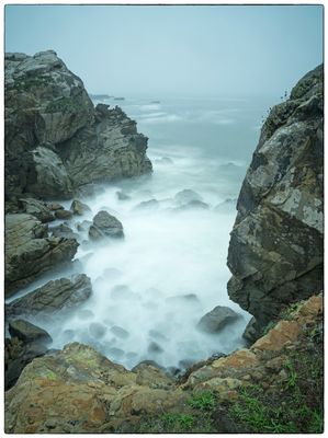 Salt Point State Park  - California 