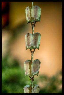 Metal Drip Line - Bodega,  California 