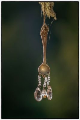 Spoon and Crystals - Bodega, California 