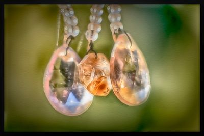 Crystals - Bodaga, California 