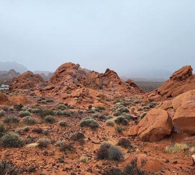 On the road to Mesquite for needles .