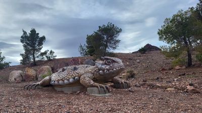 The animals of Bootleg Park, Boulder City, Nevada 