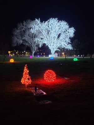 Christmas lights in a cemetery.