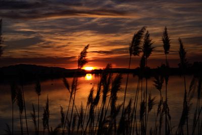 May 9, 2025 sunset