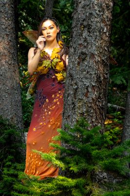 Fairies and Woodland Spirits
