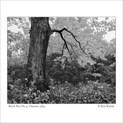 Nature on B&W Film