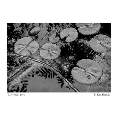 Nature on B&W Film