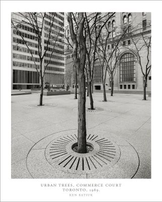 Toronto on 4x5 Film