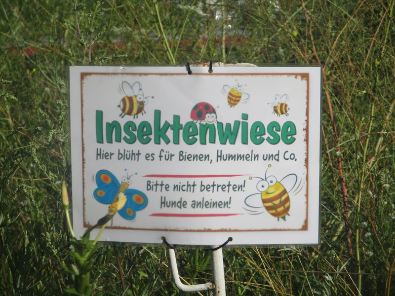 KURIOSES LINKS UND RECHTS DER STRASSEN IN KLADOW  IMG_6319.JPG