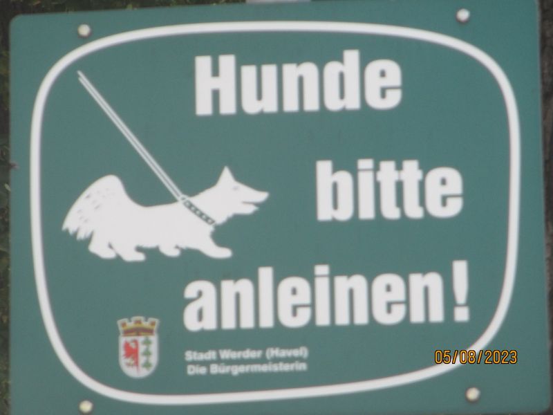 HUNDE BITTE ANLEINEN!  IMG_6746.JPG