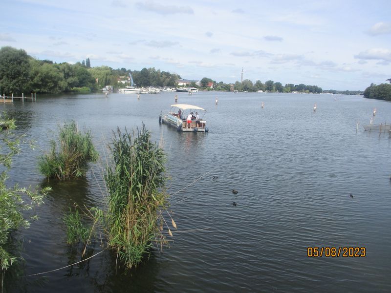 REGER SCHIFFSVERKEHR AUF DEM WASSER IMG_6769.JPG