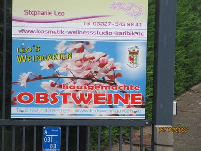 LEOS WEINGARTEN - HAUSGEMACHTE OBSTWEINE - DER BERHMTE BRETTERKNALLERIMG_6821.JPG