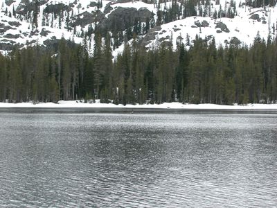 DSCN0599.JPG