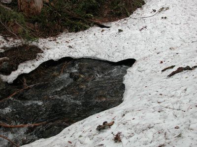 DSCN0658.JPG