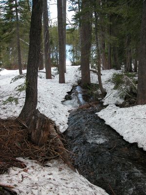 DSCN0659.JPG