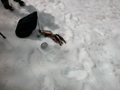 DSCN0696.JPG