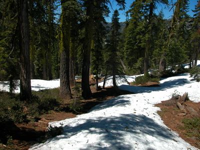 DSCN0769.JPG