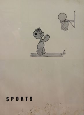 P 37 Sports.jpg