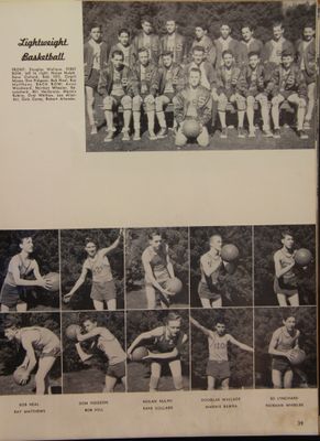 P 39 Lightweight Basketball.jpg