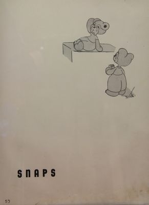 P 57 Snaps.jpg