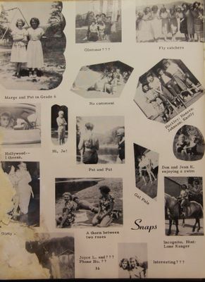 P 36 Snapshots.jpg