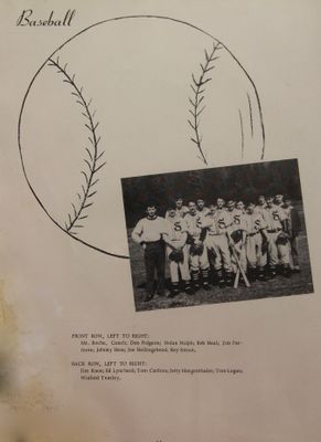 P 46 Baseball.jpg