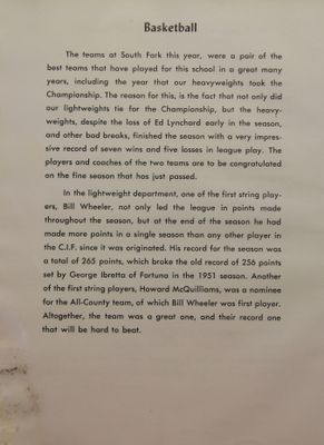P 51 Basketball.jpg