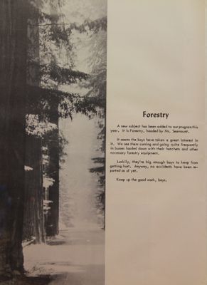 P 59 Forestry.jpg