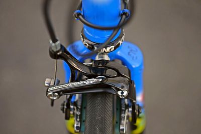 IMG_8875.jpg
