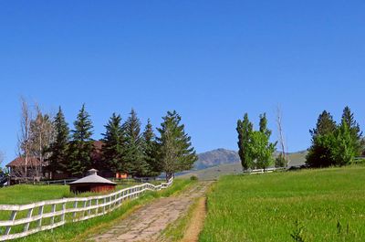 IMG_8564.jpg
