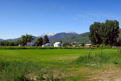 IMG_8582.jpg