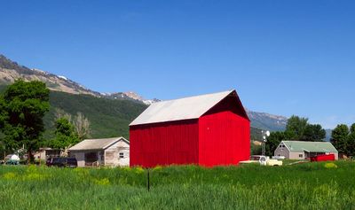 IMG_8586.jpg