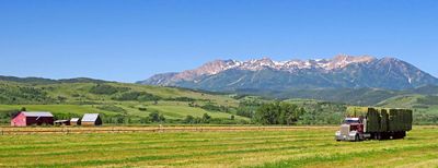 IMG_8615.jpg