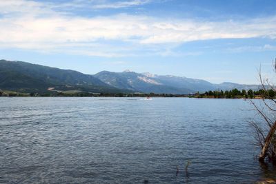 IMG_8644.jpg